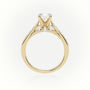 Round Cut Diamond 4 Prongs Channel Setting Engagement Ring — Yellow Gold