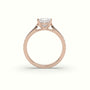Princess Cut Diamond Engagament Ring With Pave Setting — Rose Gold