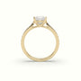 Princess Cut Diamond Engagament Ring With Pave Setting — Yellow Gold
