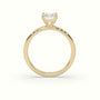 Emerald Cut Diamond Pave Engagement Ring — Yellow Gold