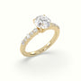 Round Cut Diamond Pave Engagement Ring — Yellow Gold
