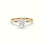 Heart Cut Hidden Halo Engagement Ring — Yellow Gold