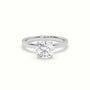 Round Cut Hidden Halo Engagement Ring — White Gold