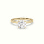 Round Cut Hidden Halo Engagement Ring — Yellow Gold