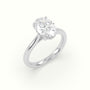 Oval Cut Hidden Halo Cathedral Engagement Ring — White Gold