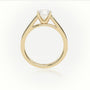 Round Cut Diamond 4 Prongs Channel-Setting Engagement Ring — Yellow Gold