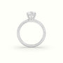 Round Cut Pave Engagement Ring — White Gold