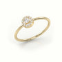 Round Cut Diamond 4 Prongs Halo Setting Ring — Yellow Gold