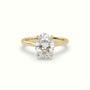 Oval Cut Hidden Halo Cathedral Engagement Ring — Yellow Gold