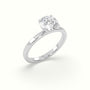 Round Cut Hidden Halo Engagement Ring — White Gold