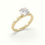 Round Cut Hidden Halo Engagement Ring — Yellow Gold